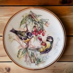 Royal Kent Birds Berries Bone China Collectors Plate Staffordshire England